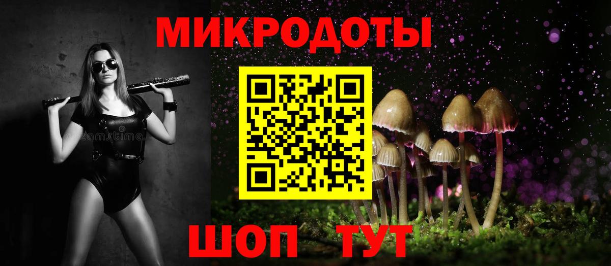 Галлюциногенные грибы Psilocybe  Вход с VPN  Москва 